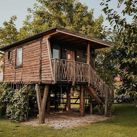 Treehouse Drevesna Hiska Strkovo Gnezdo Ranc Jures Hotell Ljutomer Exteriör bild