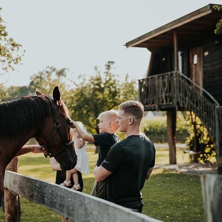 Treehouse Drevesna Hiska Strkovo Gnezdo Ranc Jures Hotell Ljutomer Exteriör bild