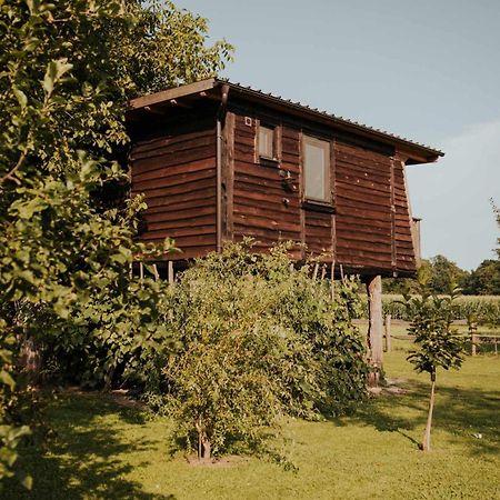 Treehouse Drevesna Hiska Strkovo Gnezdo Ranc Jures Hotell Ljutomer Exteriör bild