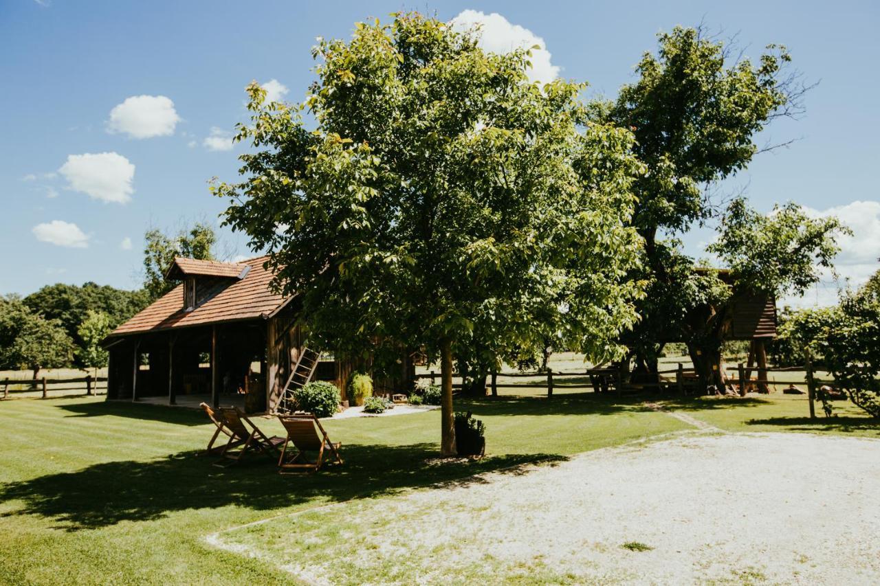 Treehouse Drevesna Hiska Strkovo Gnezdo Ranc Jures Hotell Ljutomer Exteriör bild