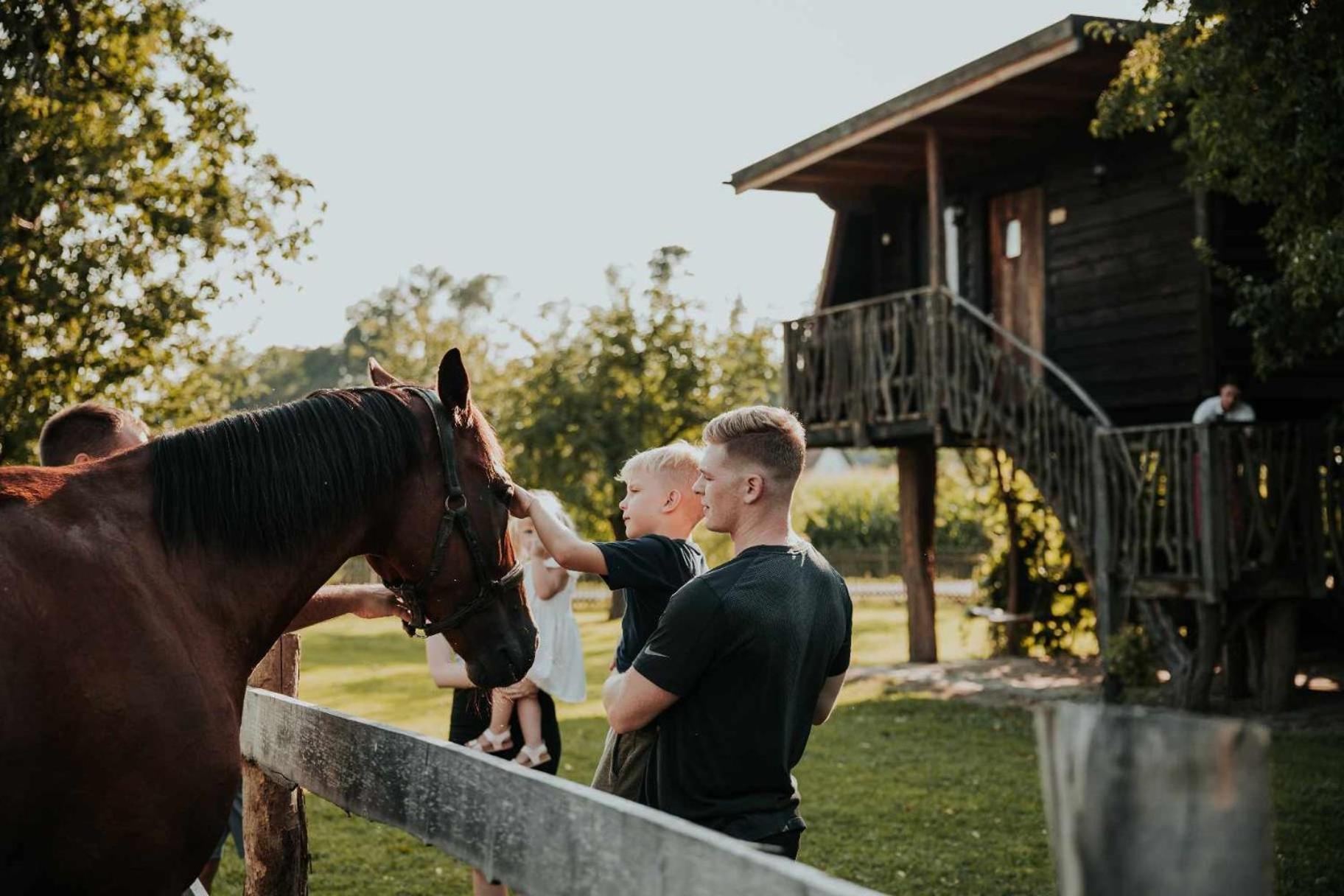 Treehouse Drevesna Hiska Strkovo Gnezdo Ranc Jures Hotell Ljutomer Exteriör bild