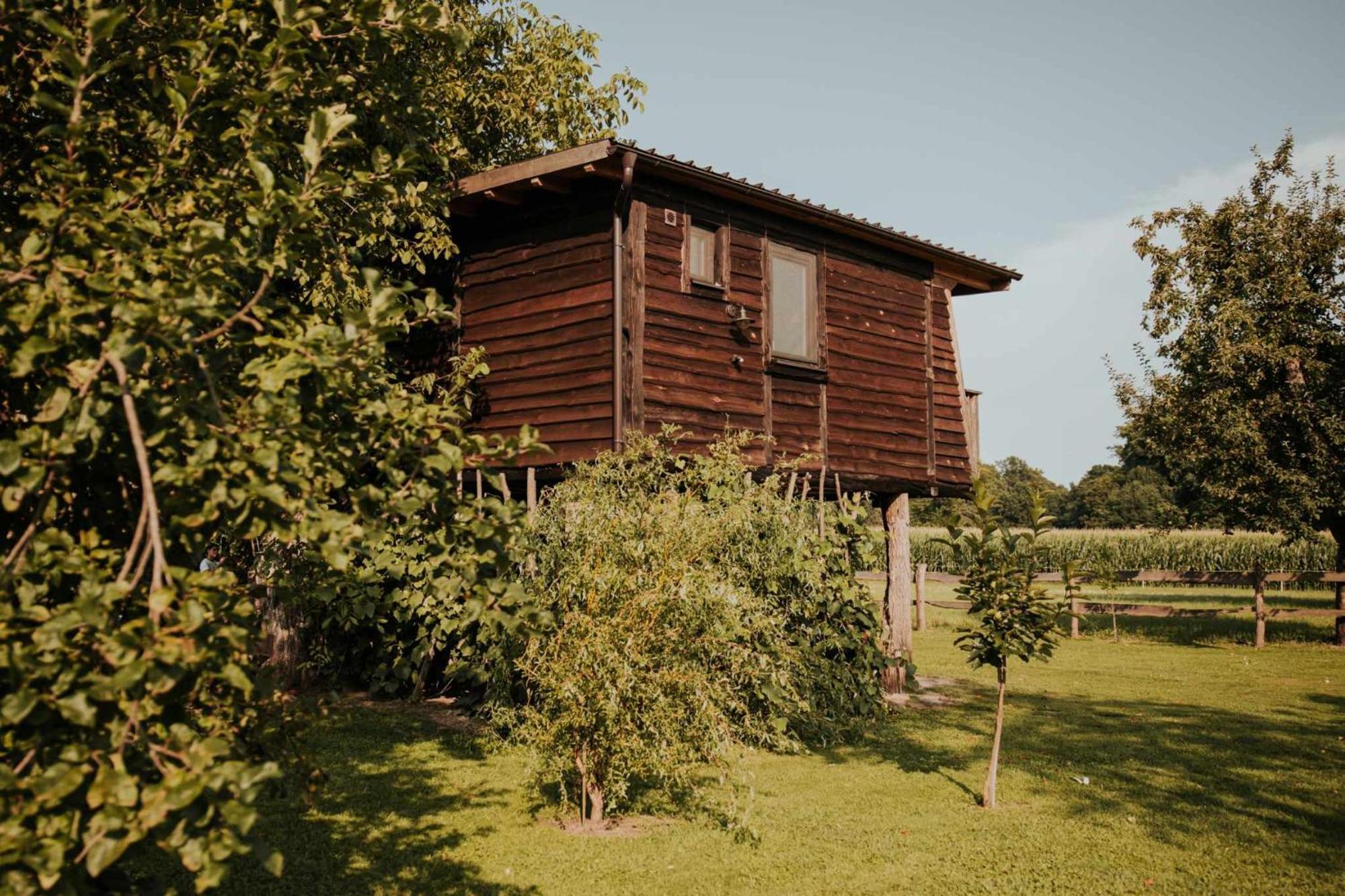 Treehouse Drevesna Hiska Strkovo Gnezdo Ranc Jures Hotell Ljutomer Exteriör bild
