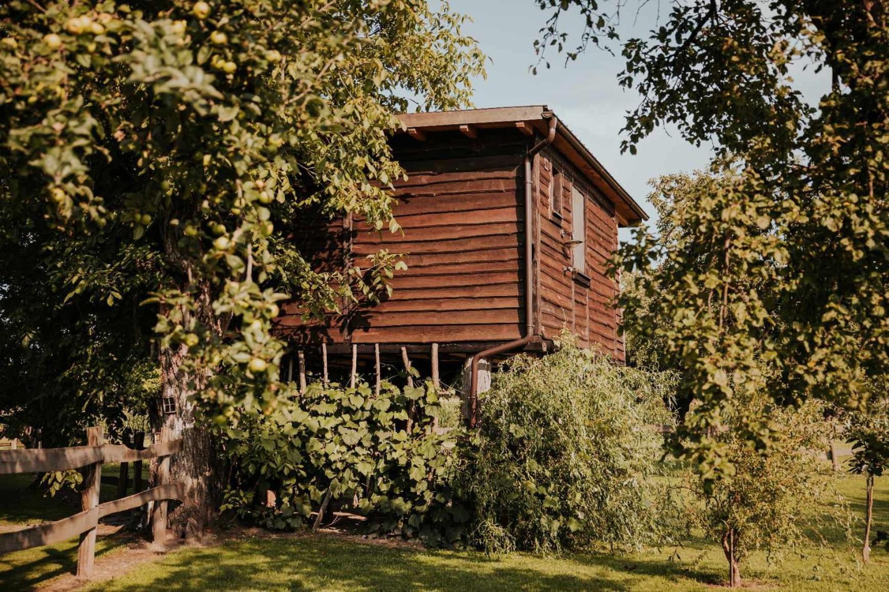 Treehouse Drevesna Hiska Strkovo Gnezdo Ranc Jures Hotell Ljutomer Exteriör bild